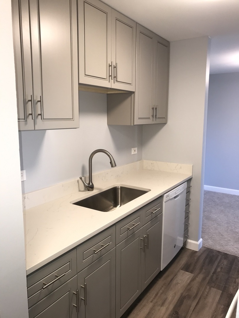 4 Oak Creek Drive #3505, Buffalo Grove, IL 60089