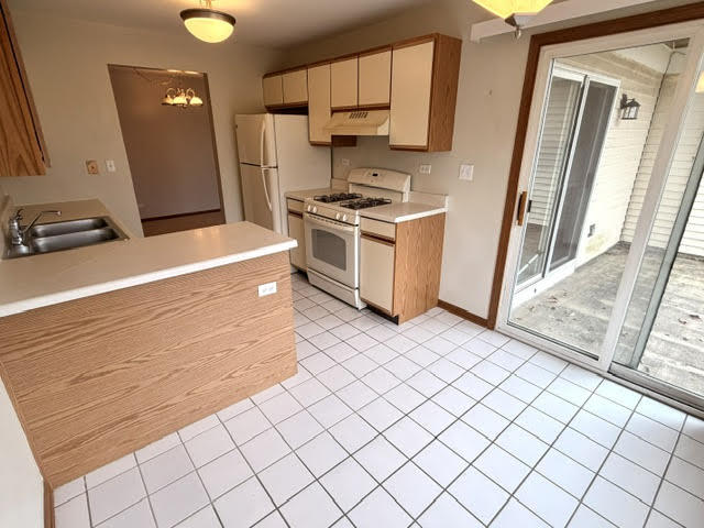 1560 Thornfield Lane #3, Roselle, IL 60172