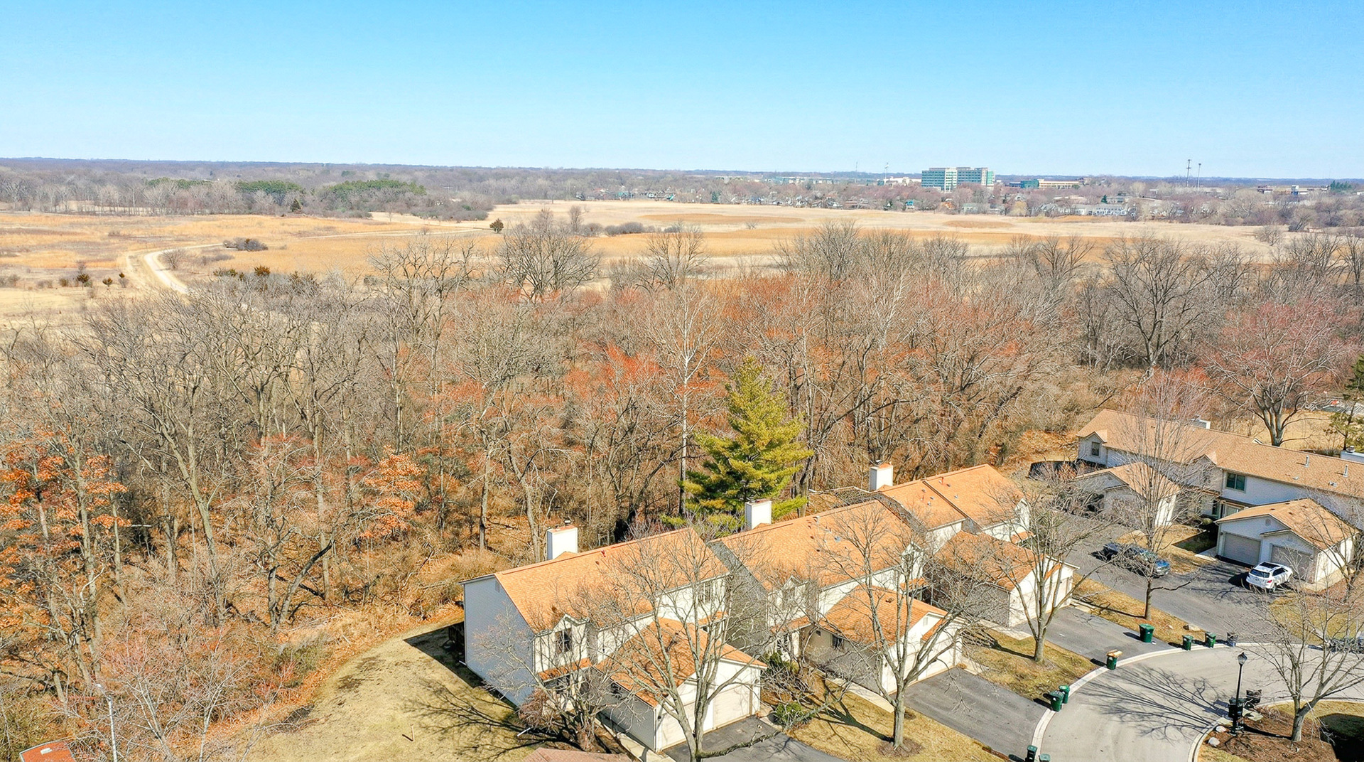 205 E Forest Knoll Drive, Palatine, IL 60074