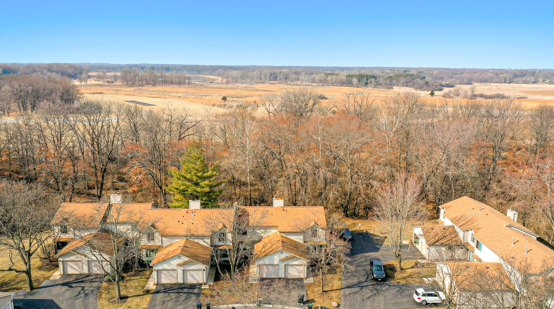 205 E Forest Knoll Drive, Palatine, IL 60074