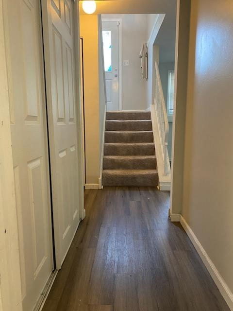 785 WOODSIDE Drive, Roselle, IL 60172