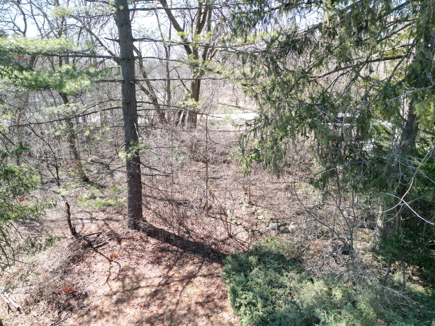 23780 N Hess Drive, Cary, IL 60013