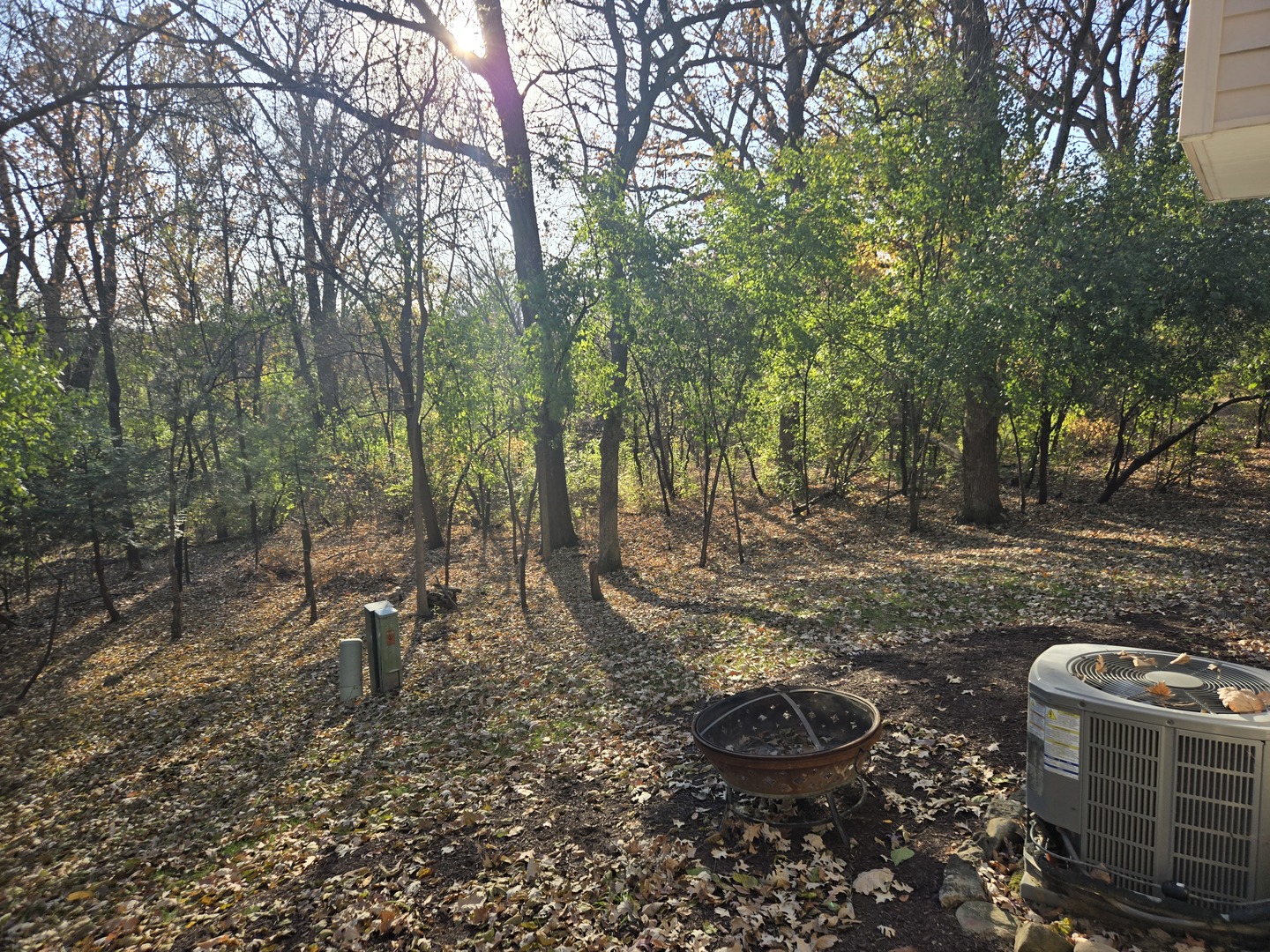 927 Treeline Court, Lockport, IL 60441