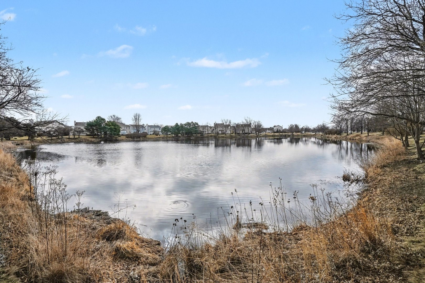 21020 W Ardmore Circle, Plainfield, IL 60544