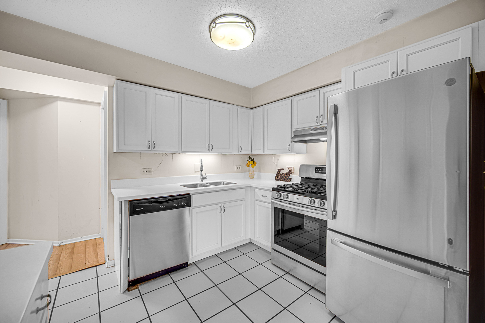 20 Echo Court #3, Vernon Hills, IL 60061