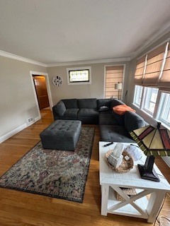 6217 W Grace Street, Chicago, IL 60634