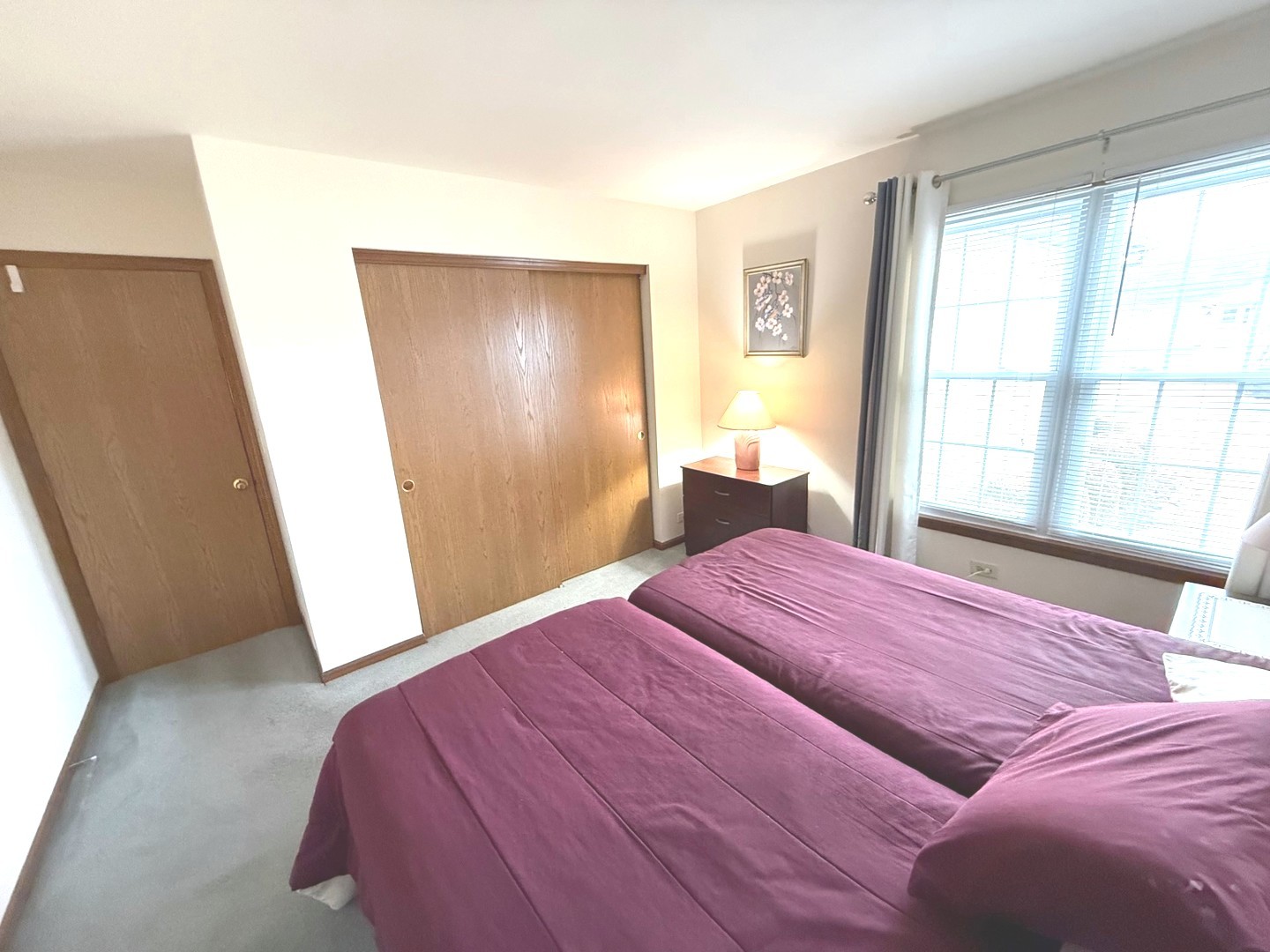 13740 S Magnolia Drive, Plainfield, IL 60544