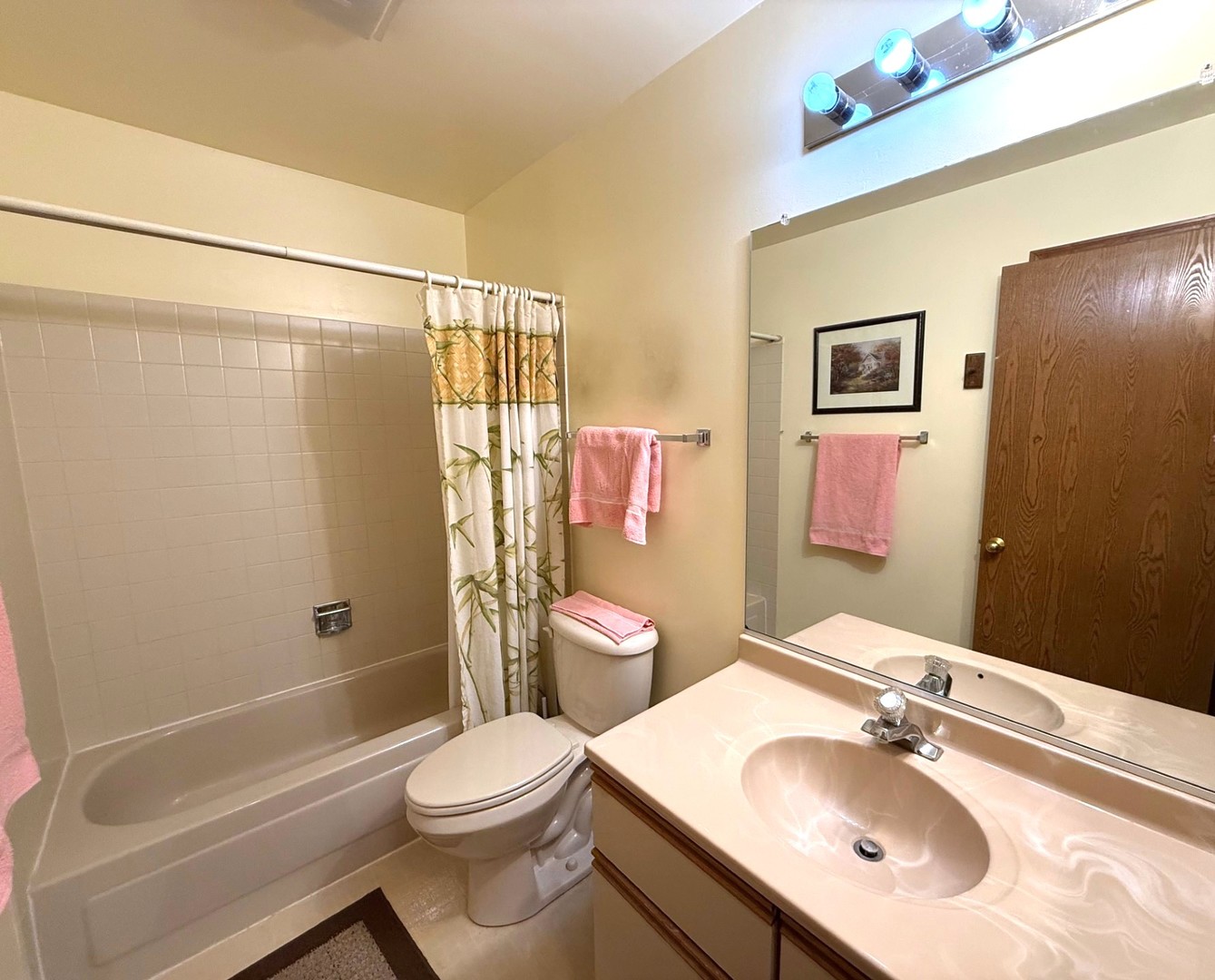 13740 S Magnolia Drive, Plainfield, IL 60544