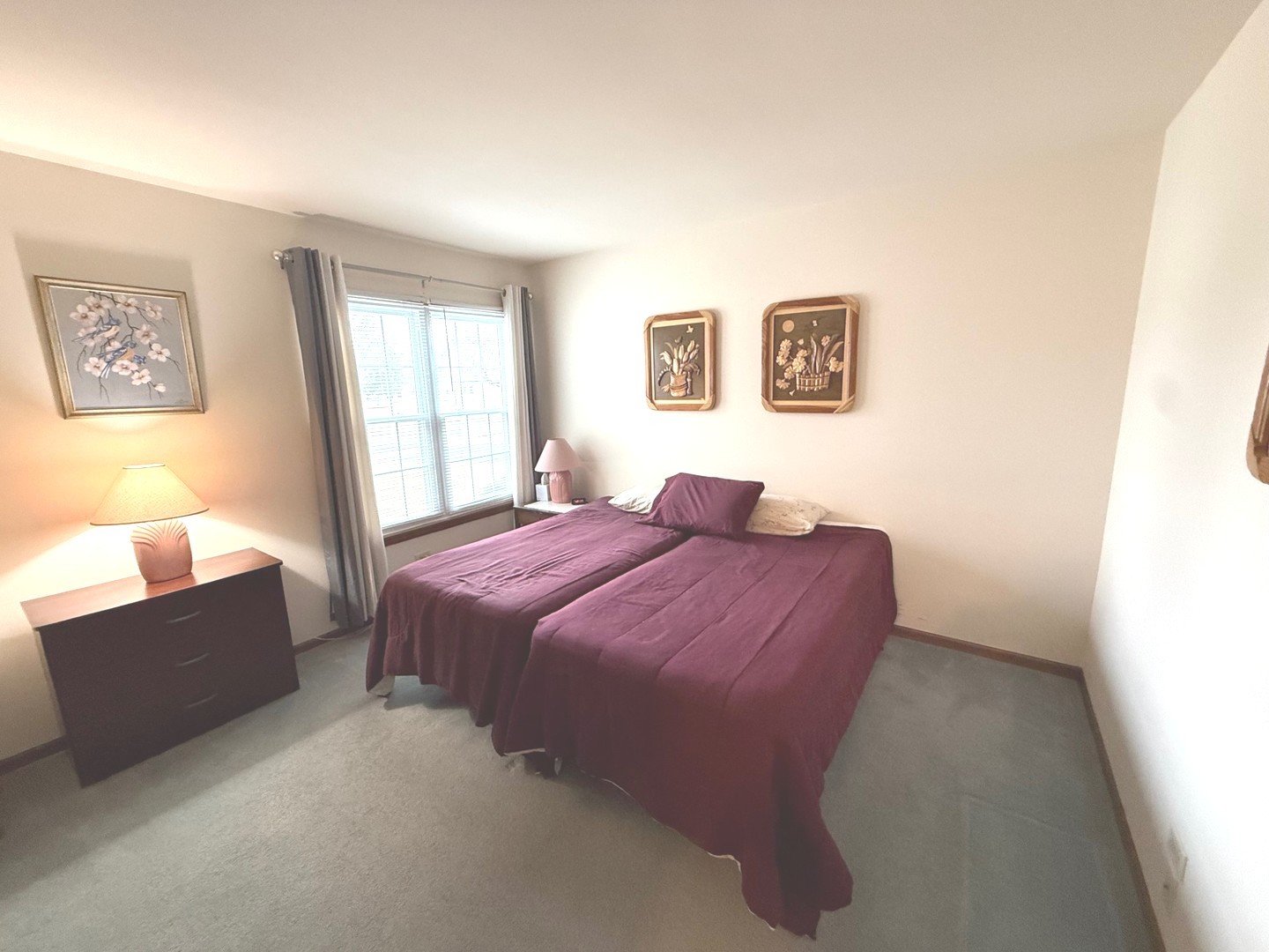 13740 S Magnolia Drive, Plainfield, IL 60544