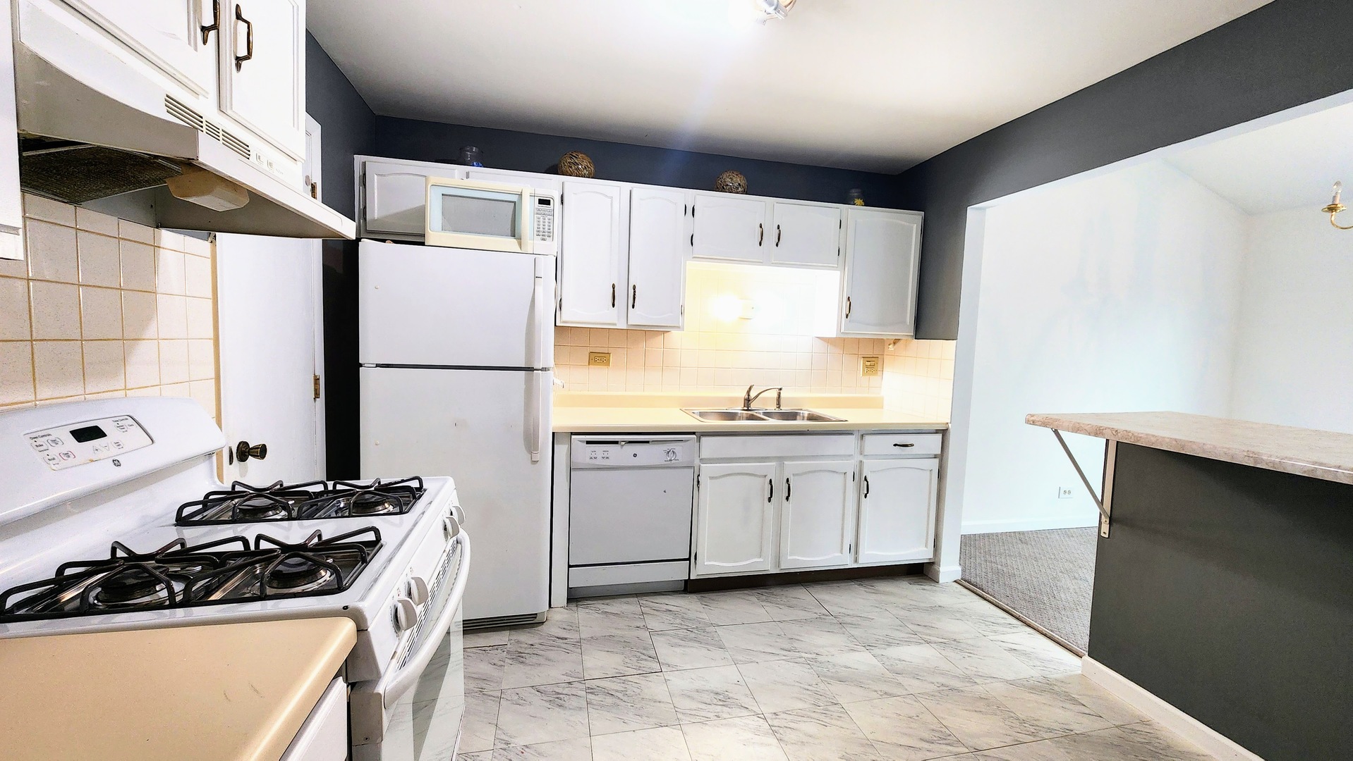 601 Fairbanks Court #V2, Schaumburg, IL 60194