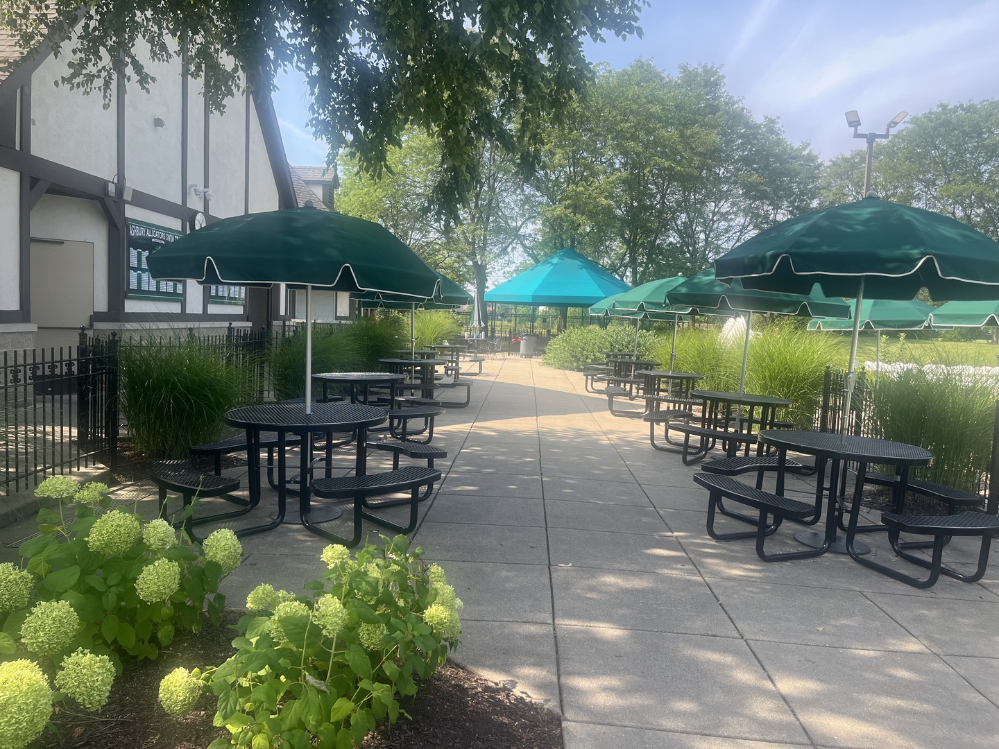 3027 Brossman Street, Naperville, IL 60564