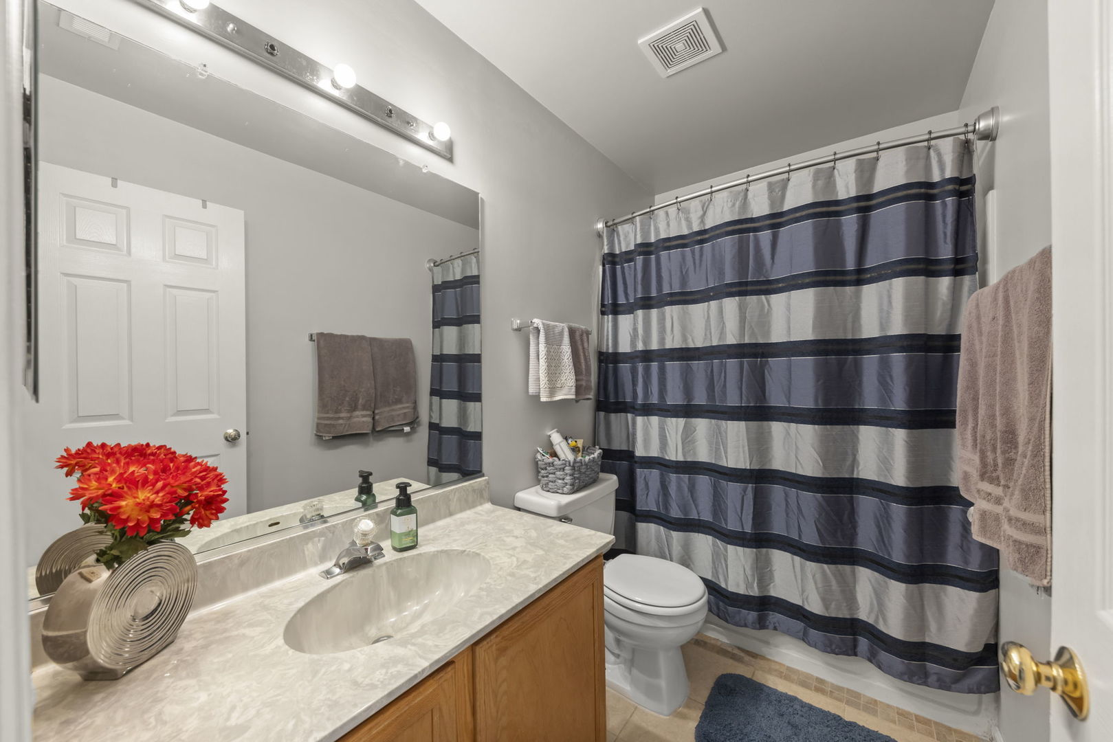 304 E Harvard Circle, South Elgin, IL 60177