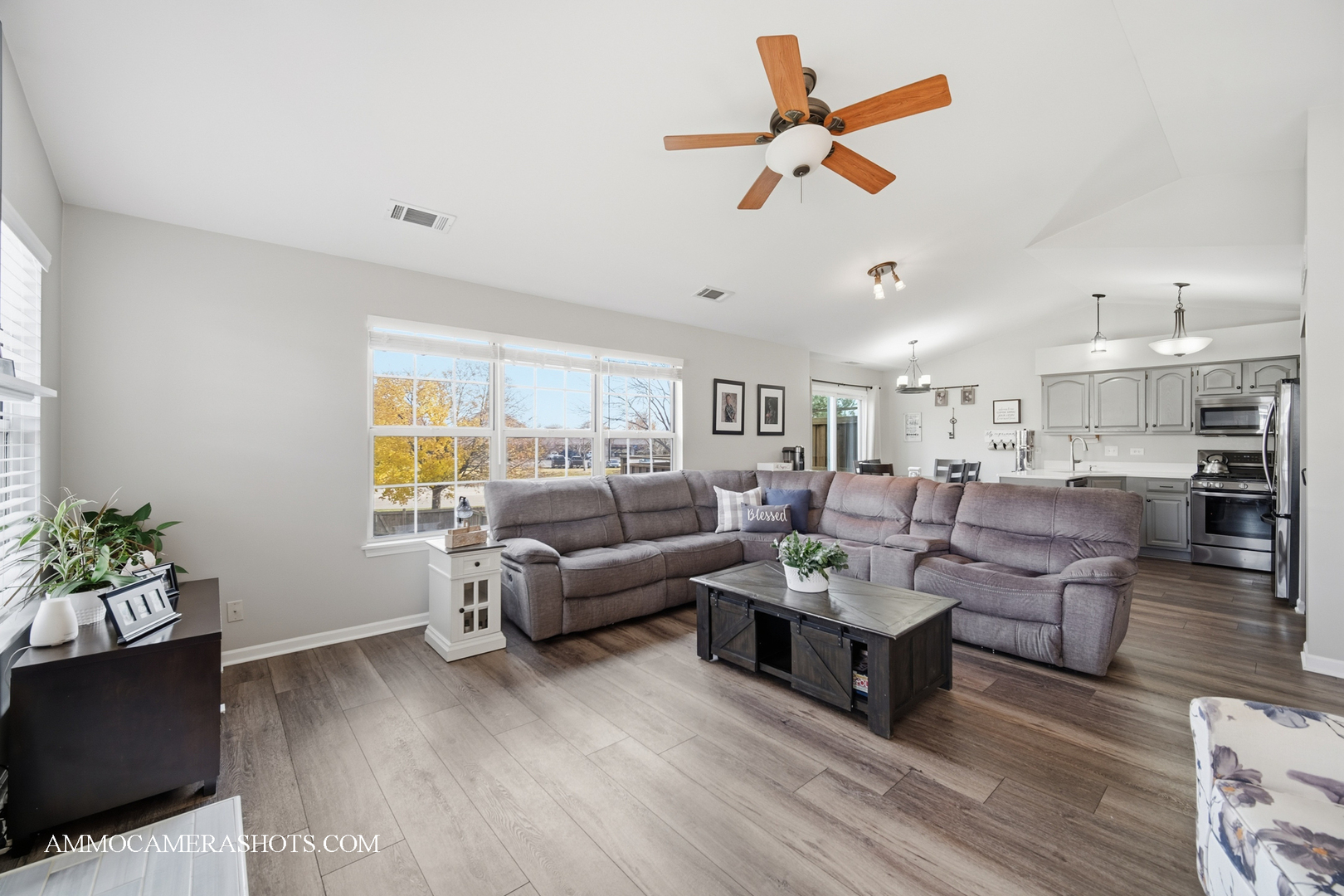 57 Seton Creek Drive, Oswego, IL 60543