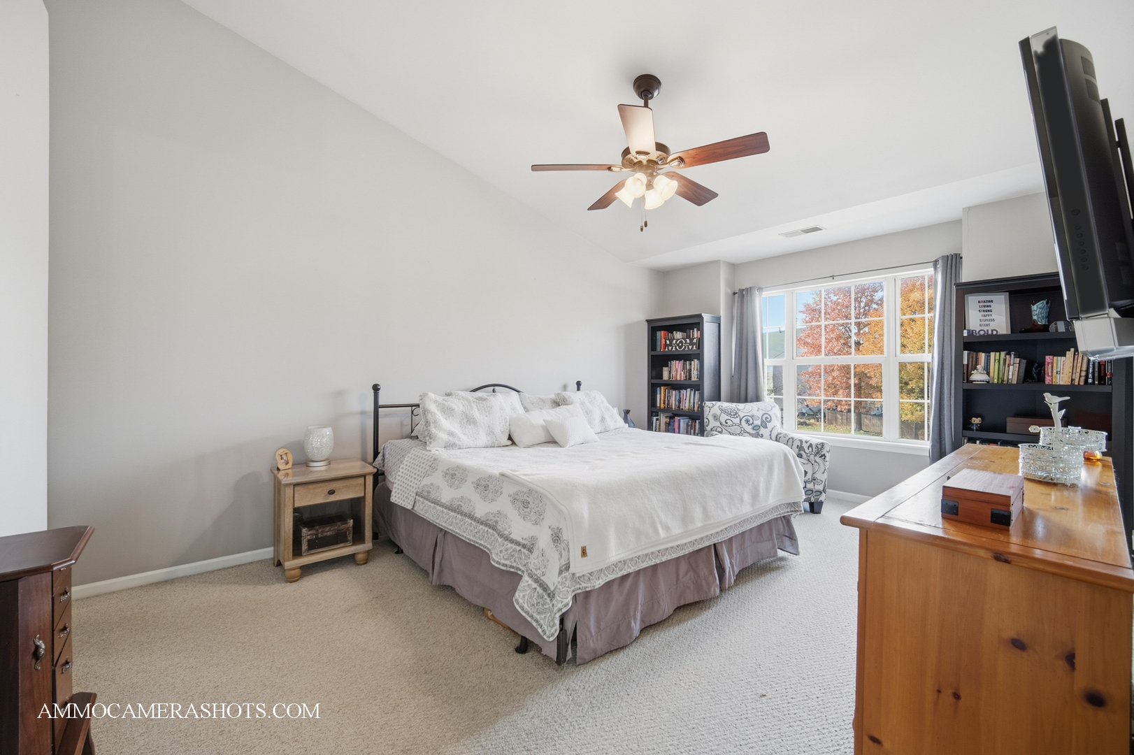 57 Seton Creek Drive, Oswego, IL 60543