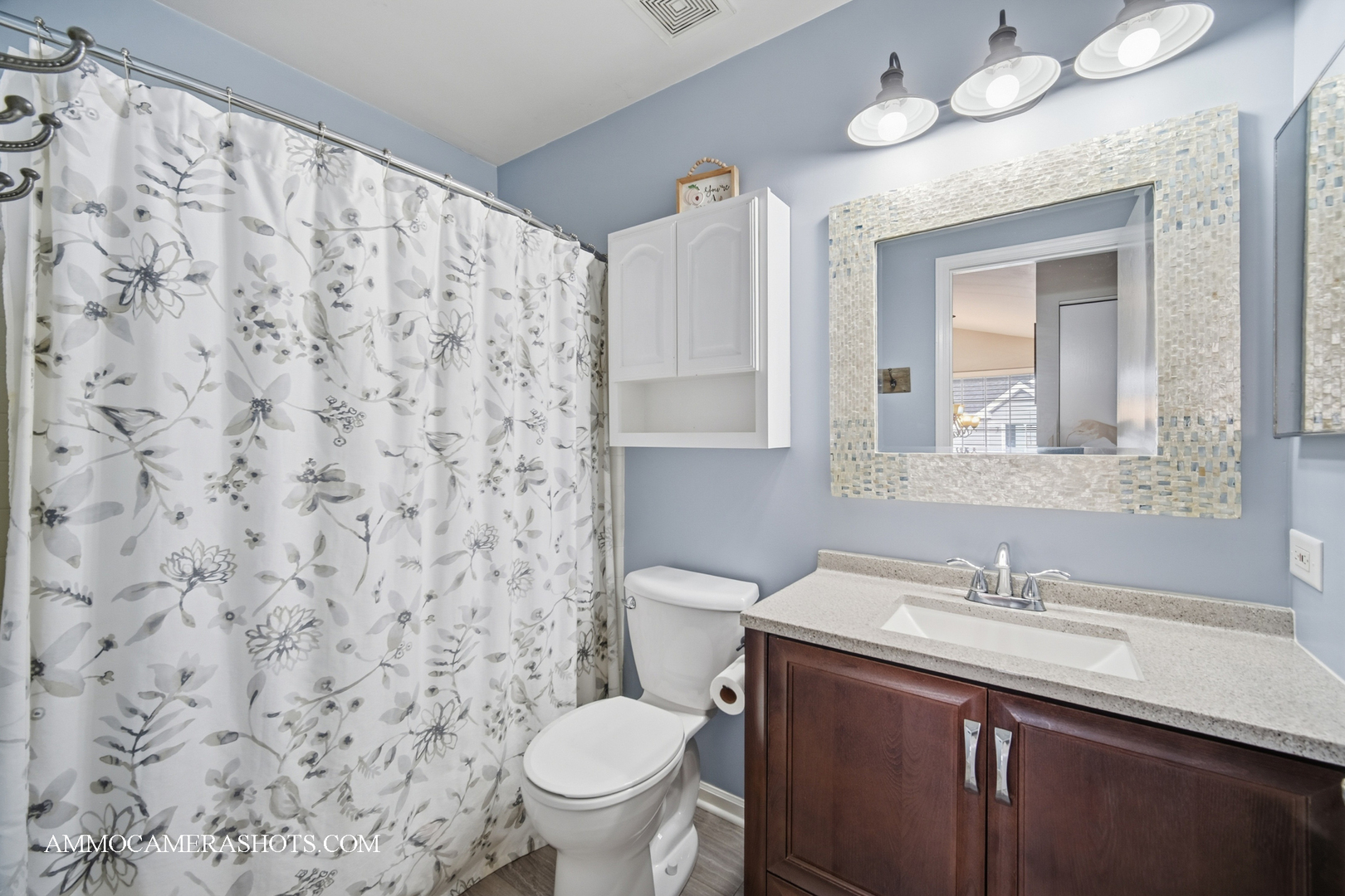 57 Seton Creek Drive, Oswego, IL 60543