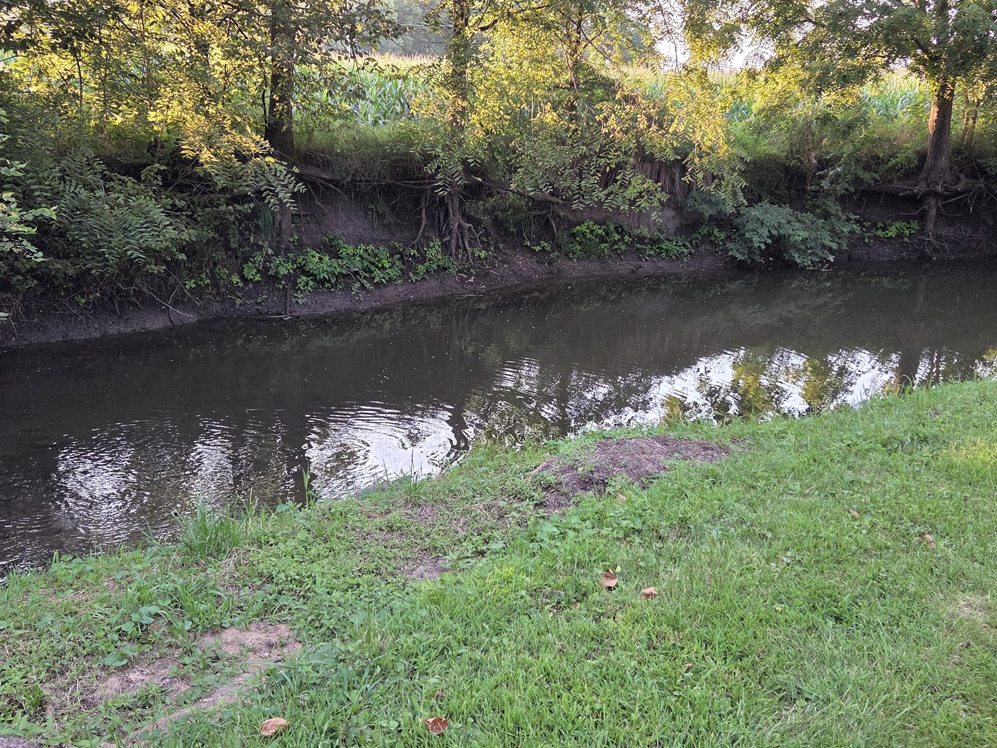 37322 Comanche Drive, Saybrook, IL 61770