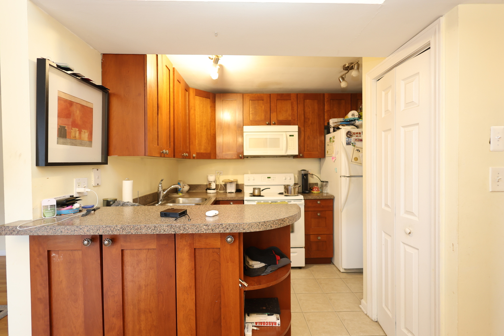 10111 Old Orchard Court #203, Skokie, IL 60076