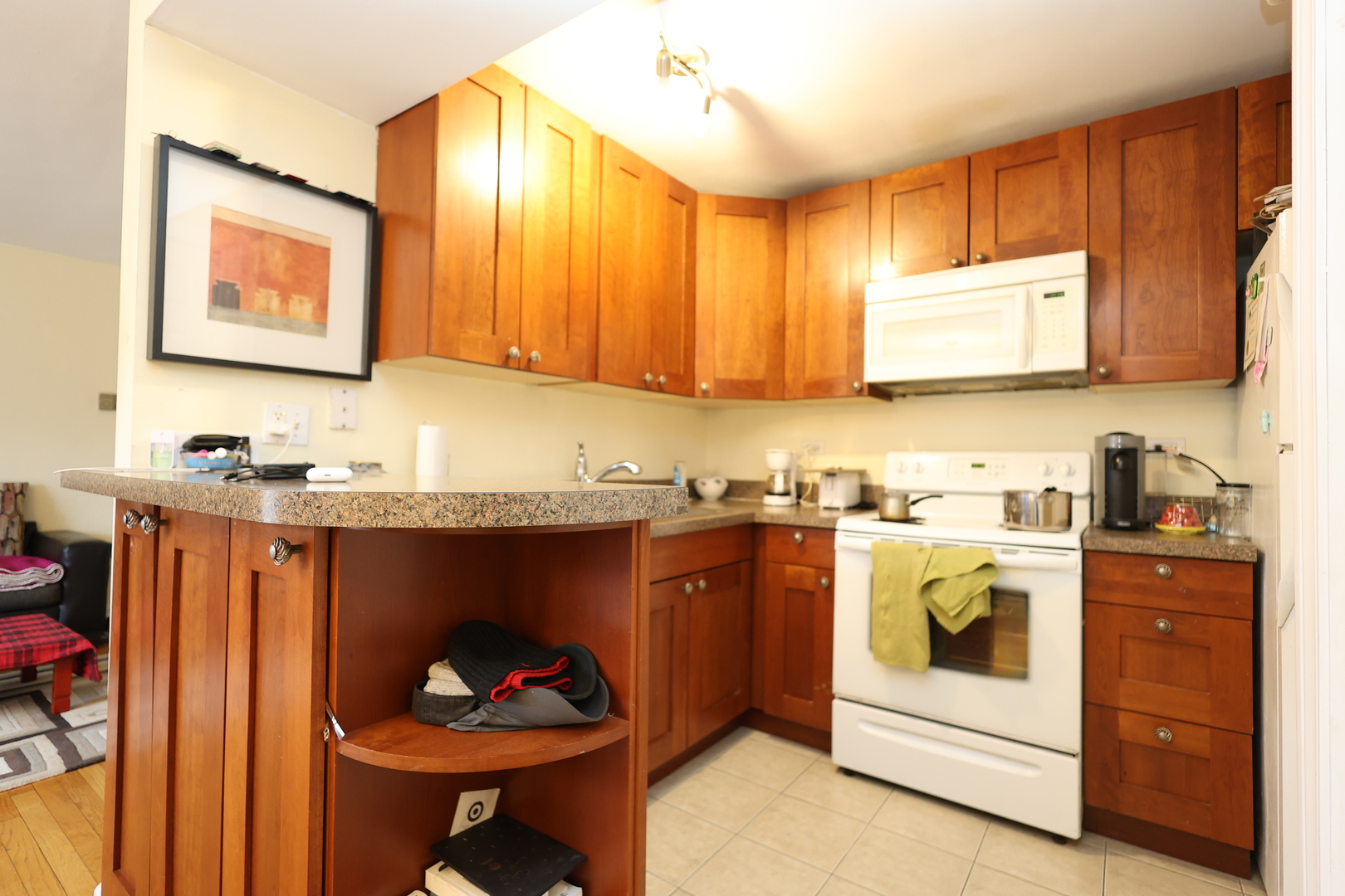 10111 Old Orchard Court #203, Skokie, IL 60076