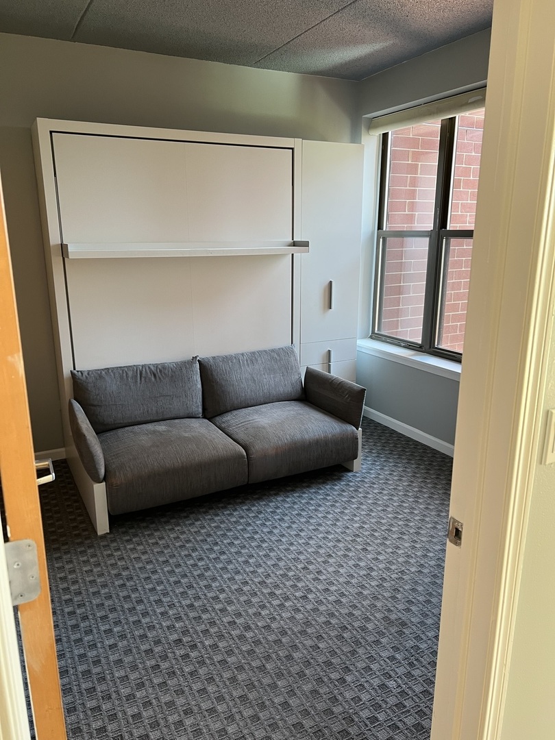 1250 S Indiana Avenue #606, Chicago, IL 60605