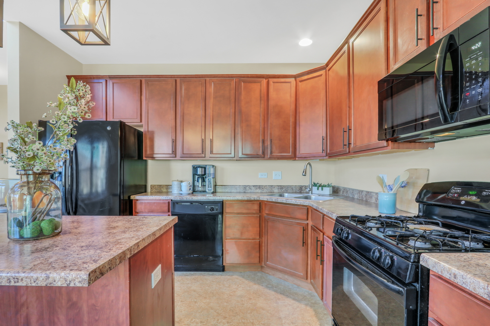 551 S Jade Lane #551, Round Lake, IL 60073