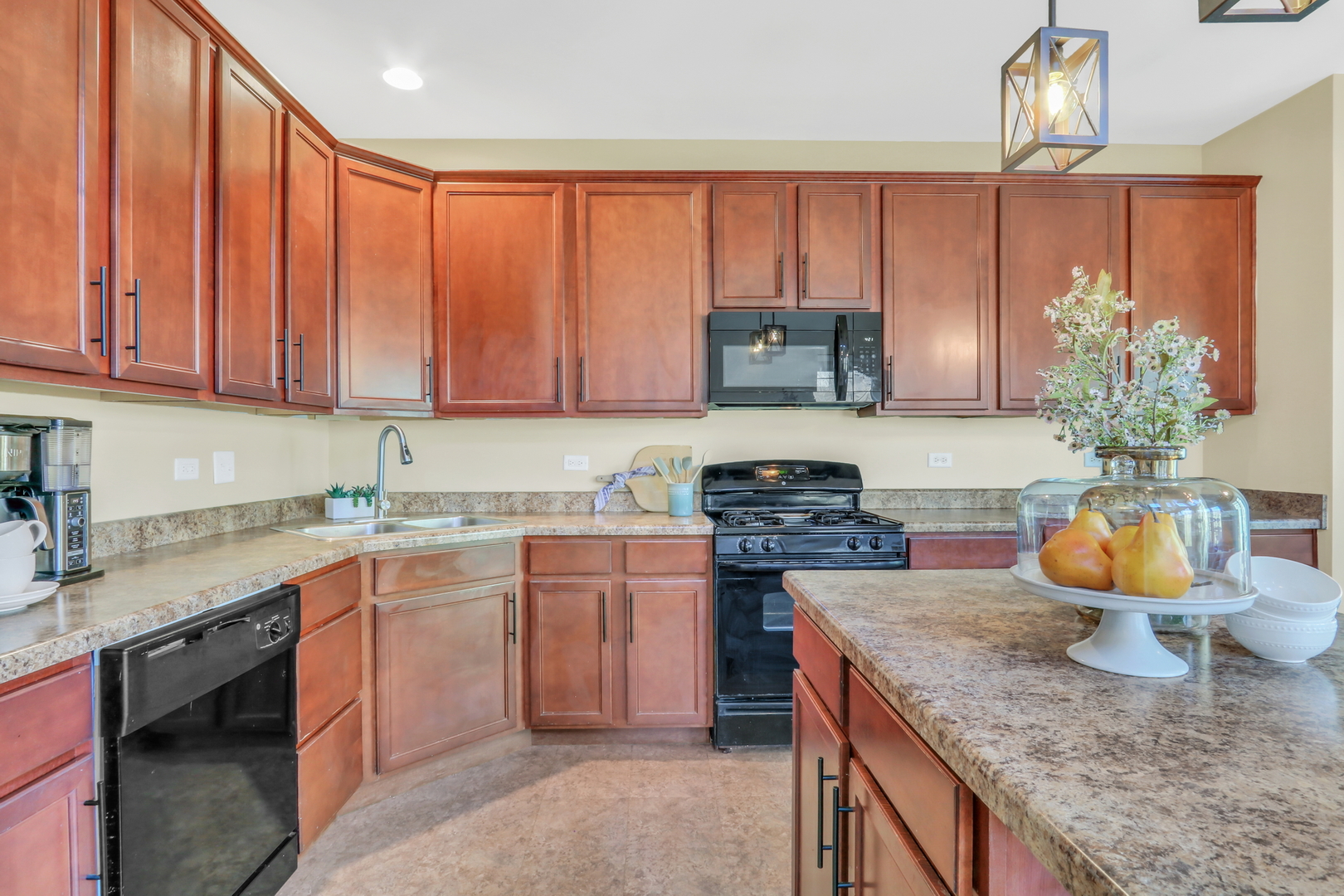 551 S Jade Lane #551, Round Lake, IL 60073