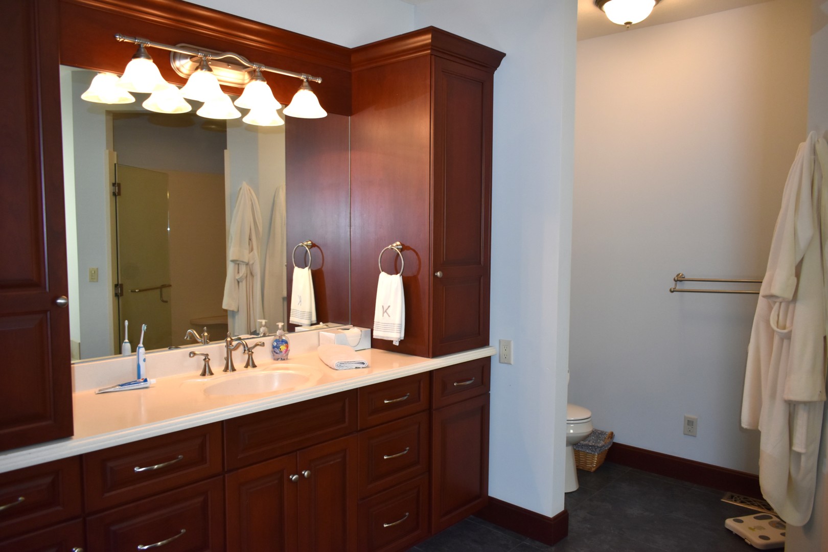 17539 E 2600 North Road, Lexington, IL 61753