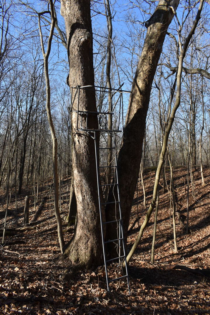 17539 E 2600 North Road, Lexington, IL 61753