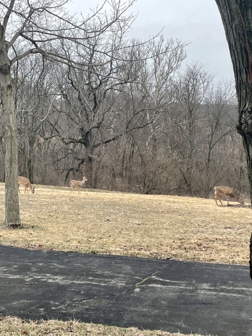 17539 E 2600 North Road, Lexington, IL 61753