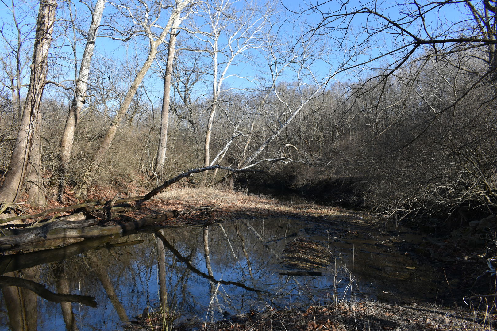 17539 E 2600 North Road, Lexington, IL 61753