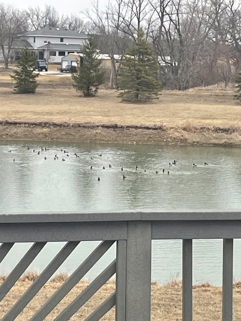 17539 E 2600 North Road, Lexington, IL 61753