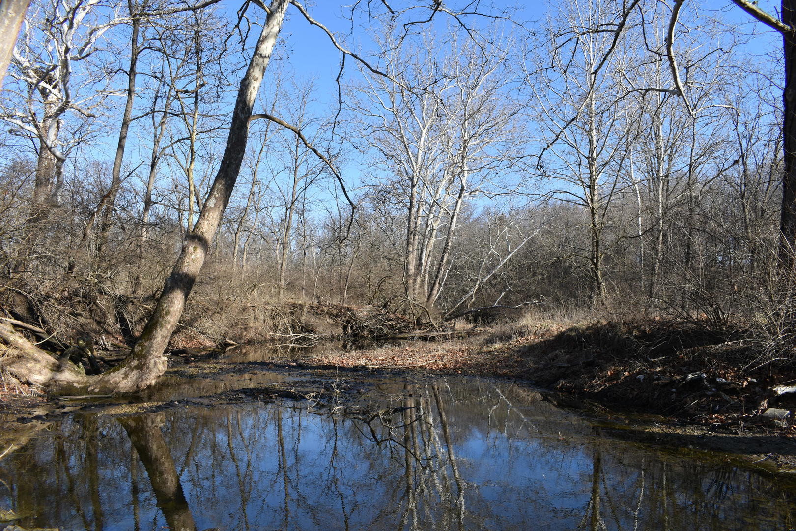 17539 E 2600 North Road, Lexington, IL 61753