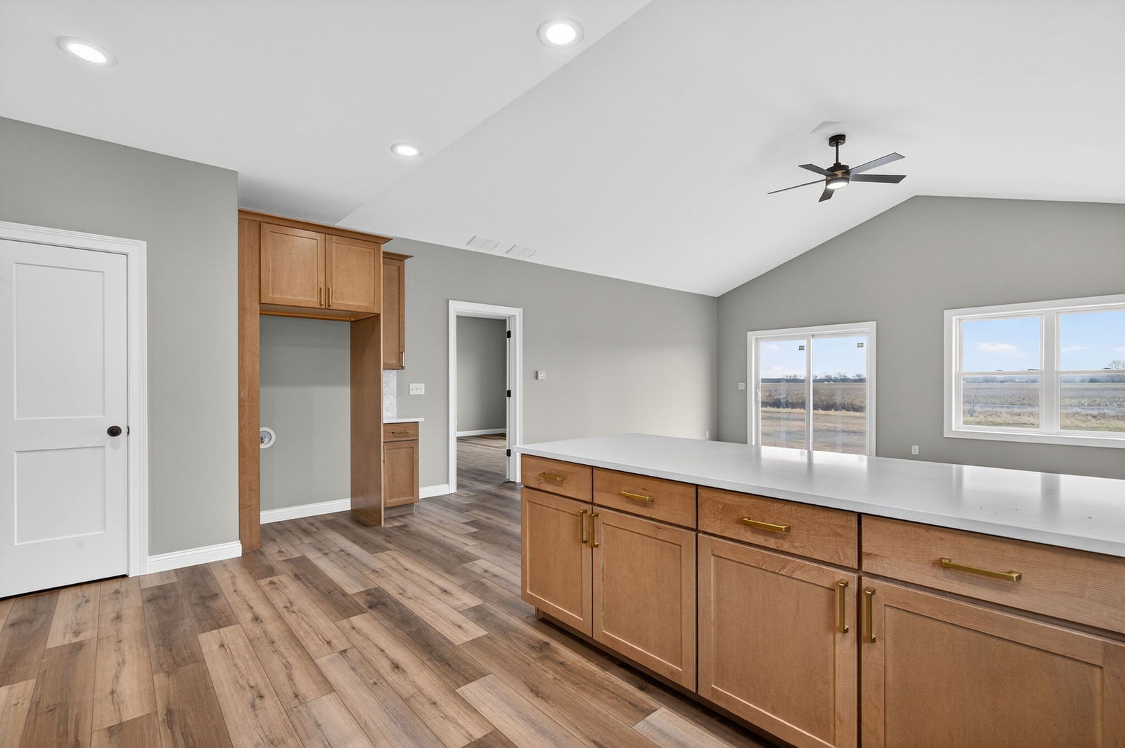 1175 S Farmstone Drive, Diamond, IL 60416