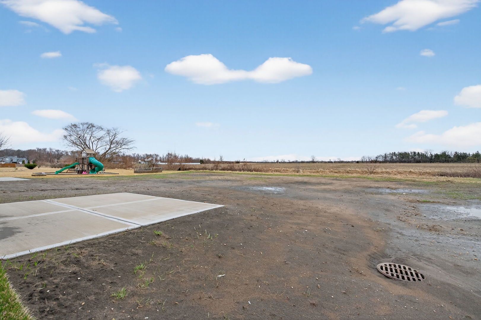 1175 S Farmstone Drive, Diamond, IL 60416