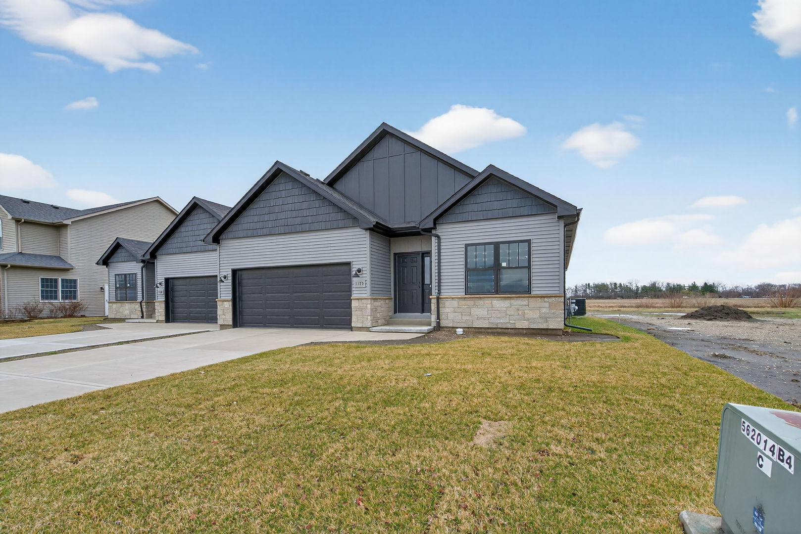 1175 S Farmstone Drive, Diamond, IL 60416