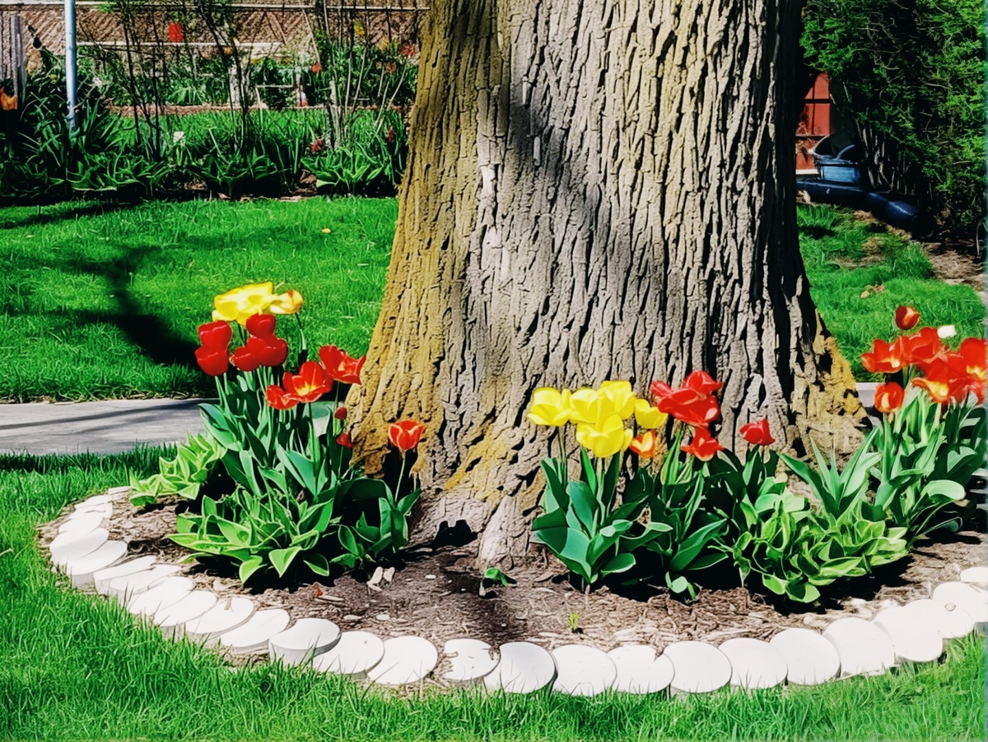 18547 Lexington Avenue, Homewood, IL 60430