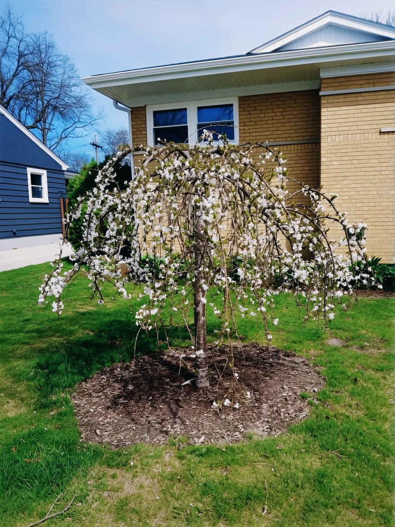 18547 Lexington Avenue, Homewood, IL 60430