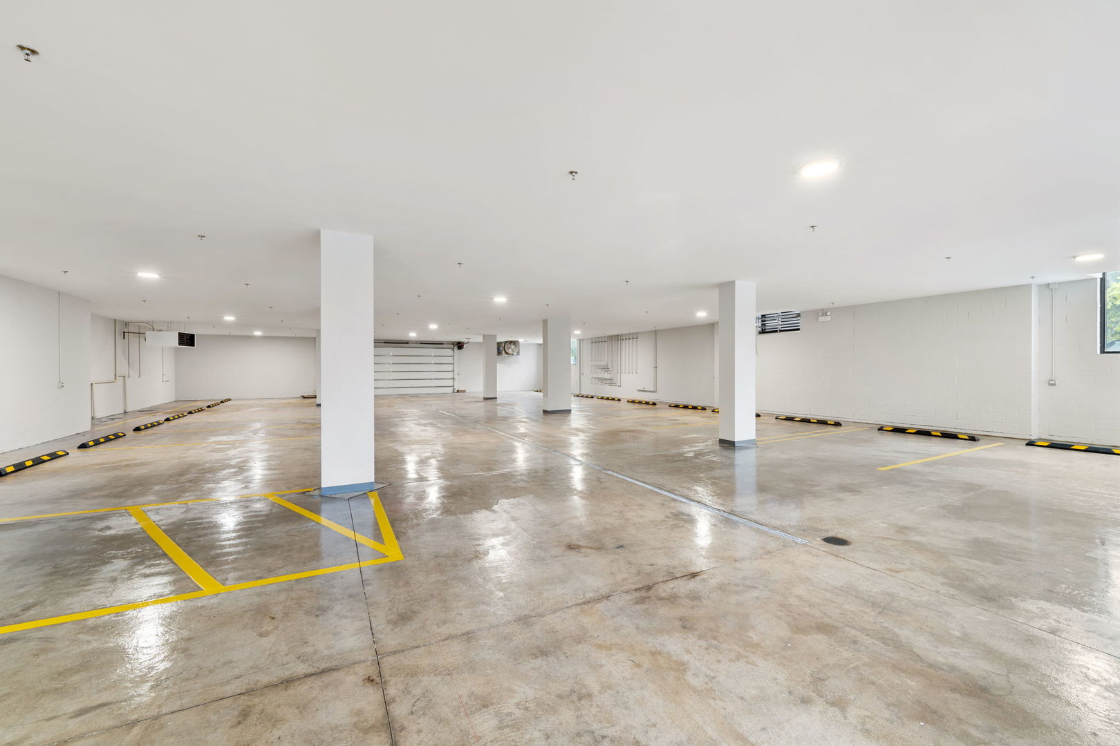 1606 S Ashland Avenue #301, Chicago, IL 60608