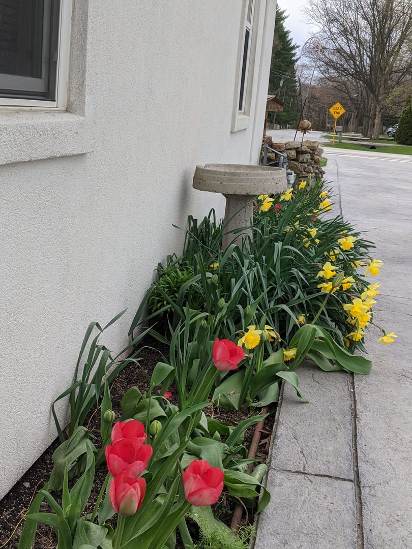 2829 Chippewa Drive, Bourbonnais, IL 60914