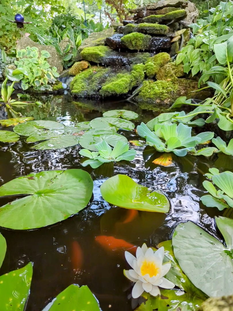 2829 Chippewa Drive, Bourbonnais, IL 60914