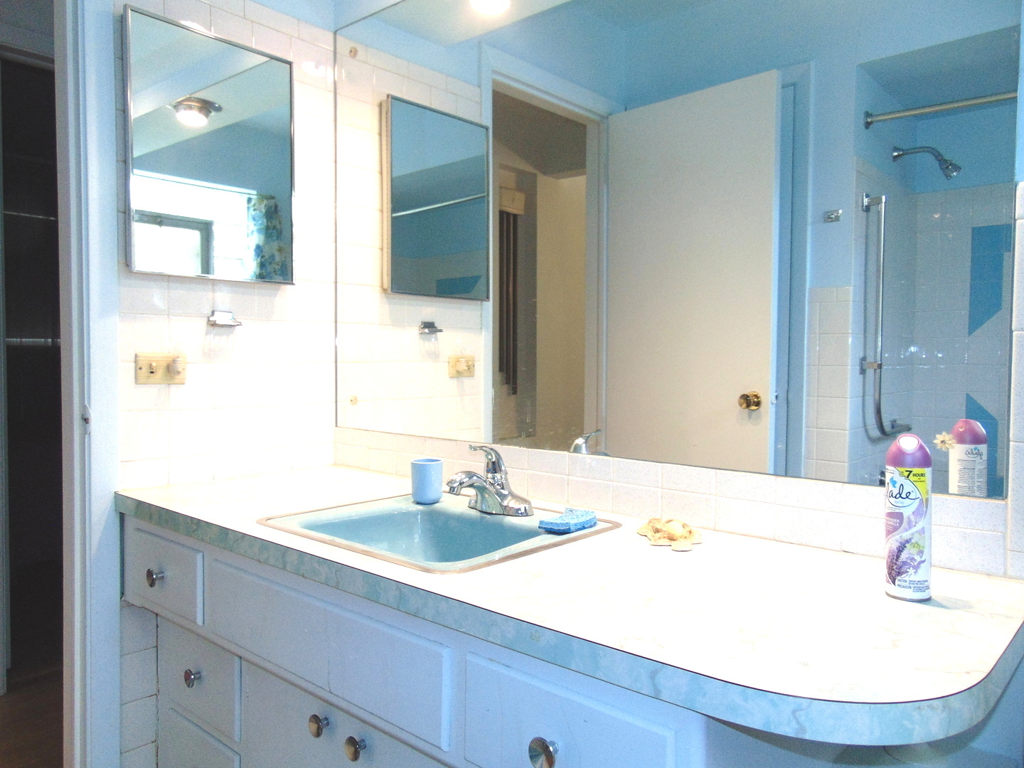 3044 N Kolmar Avenue, Chicago, IL 60641