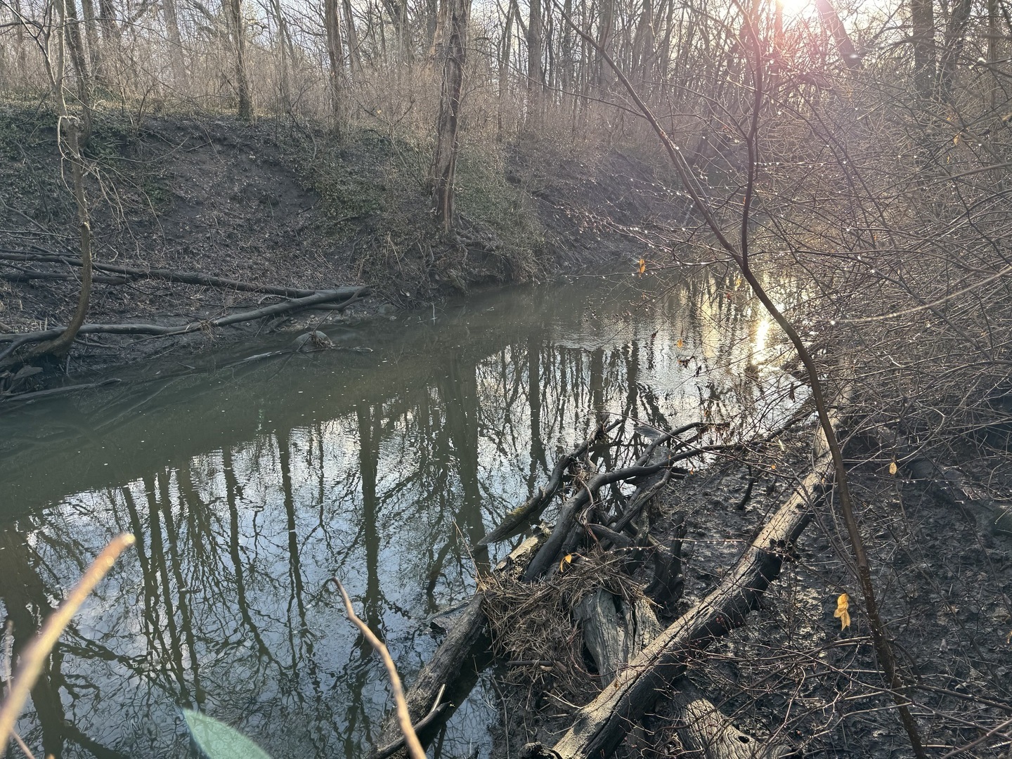 83 Oak Creek Drive, Yorkville, IL 60560