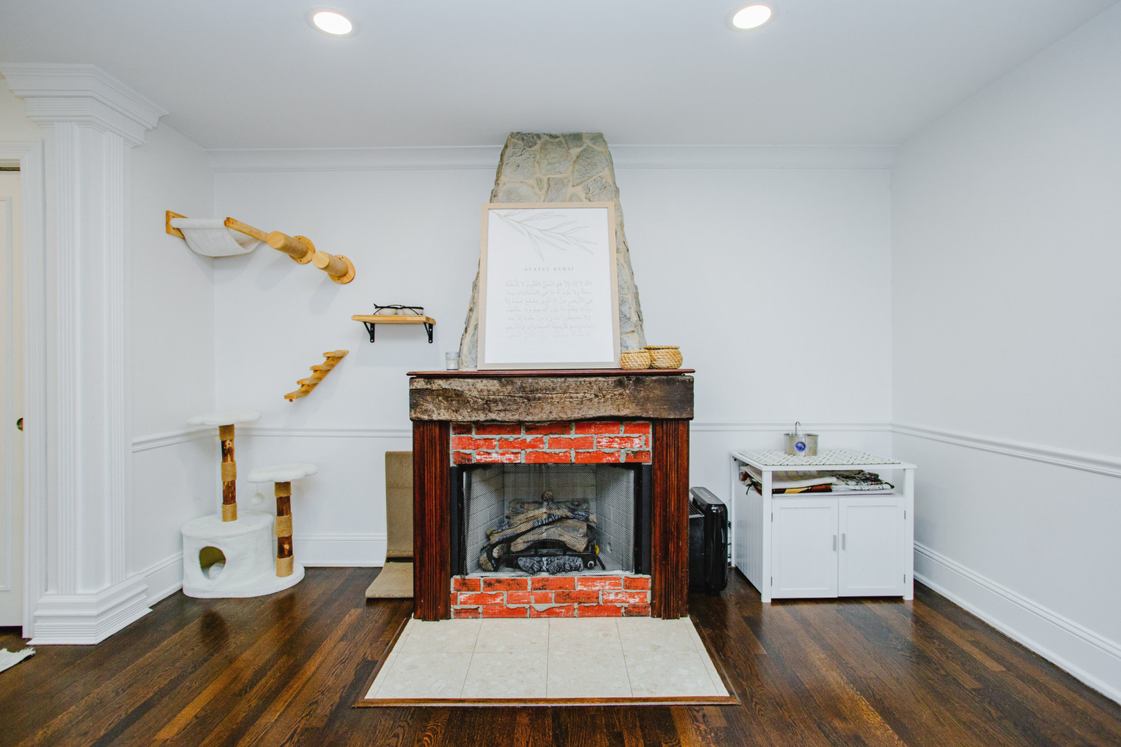 728 Dempster Street #207, Mount Prospect, IL 60056