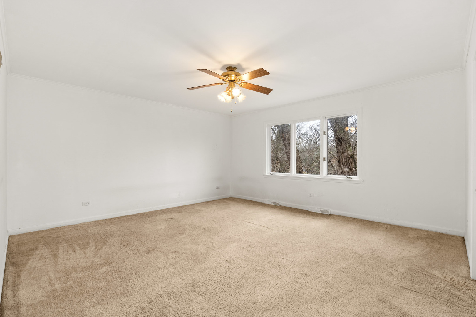 30 Strauss Lane, Olympia Fields, IL 60461