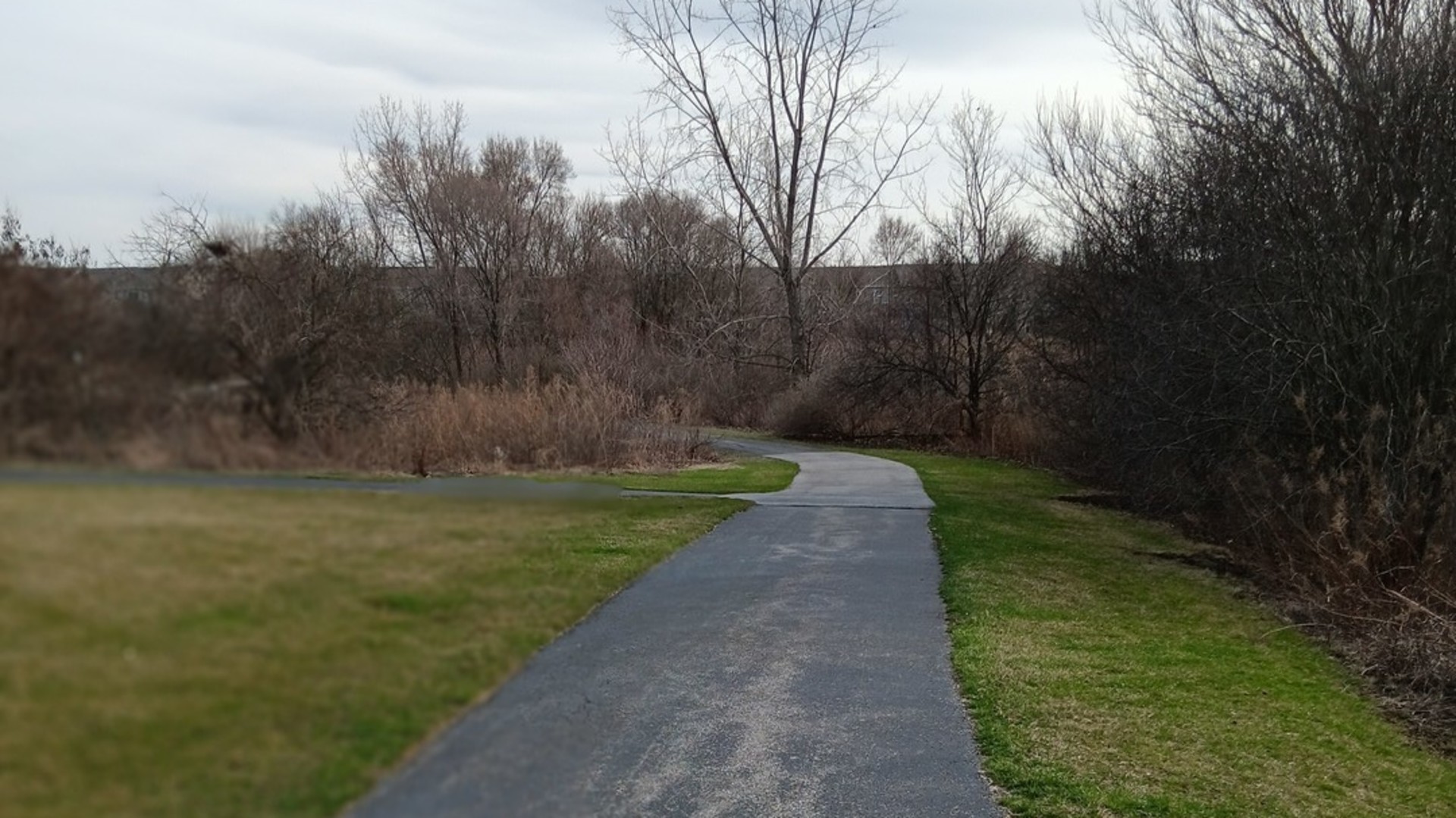 11555 Settlers Pond Way #1A, Orland Park, IL 60467