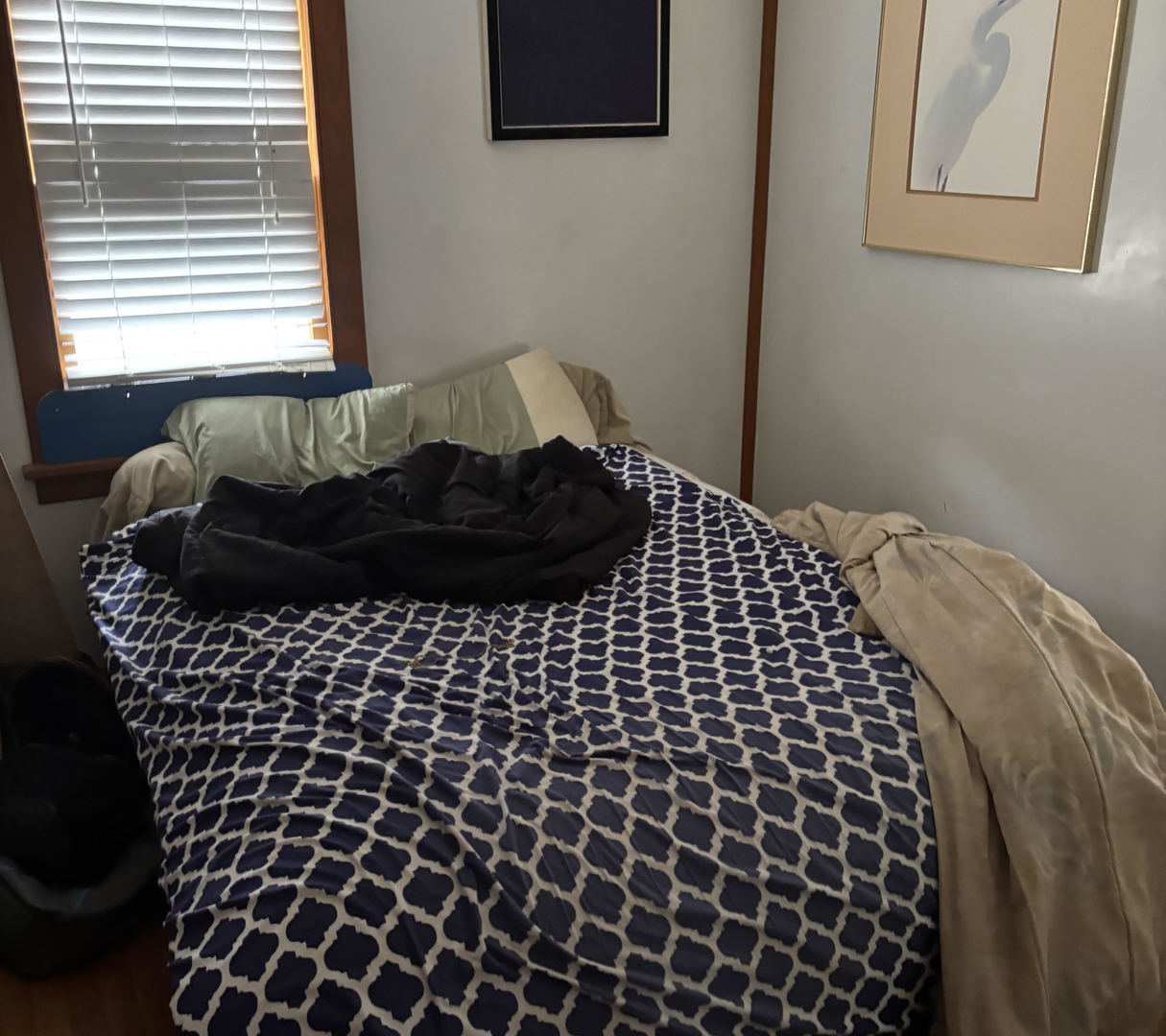 902 Highland Avenue, Wauconda, IL 60084