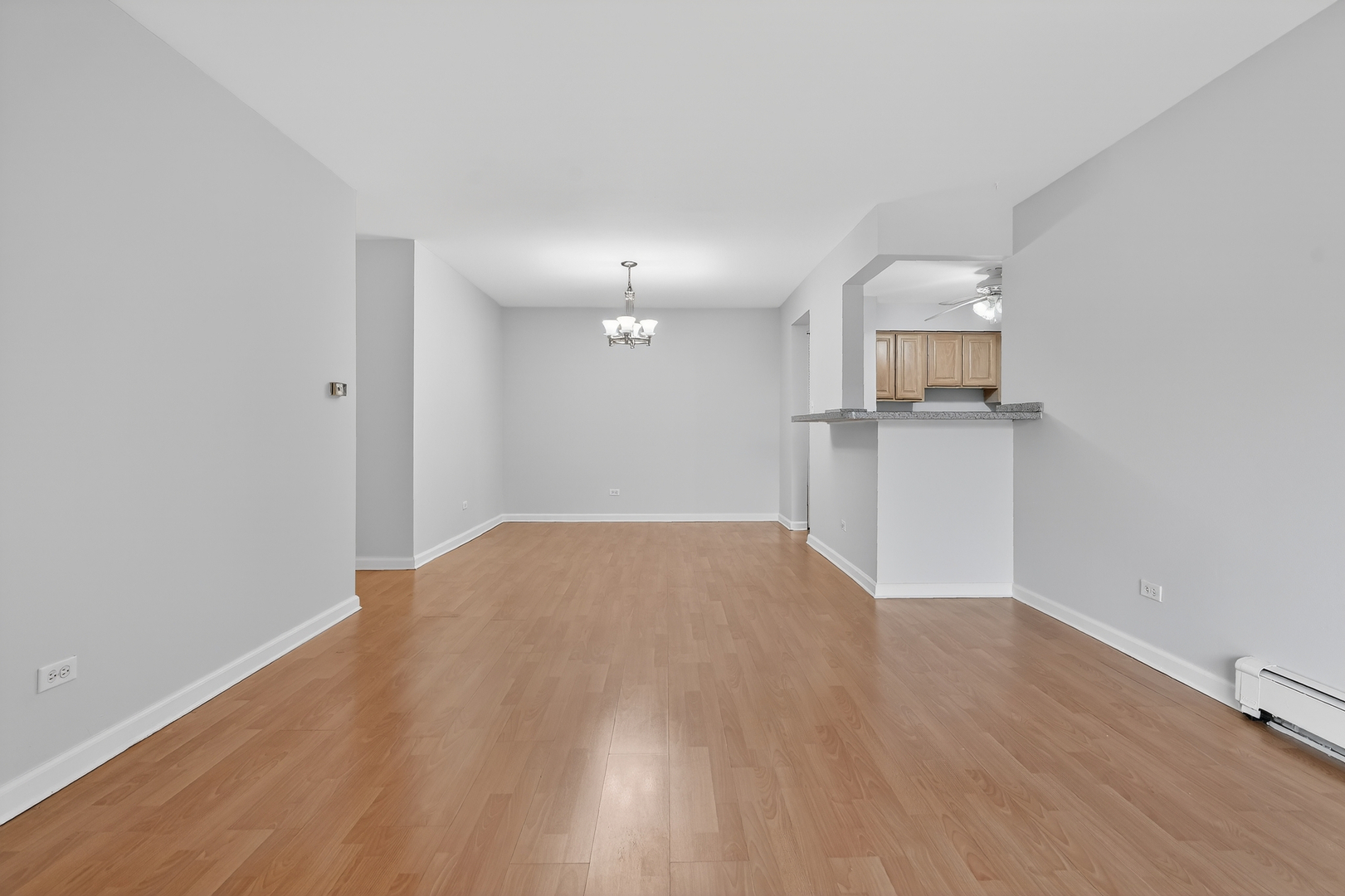 6670 S BRAINARD Avenue #209, Countryside, IL 60525