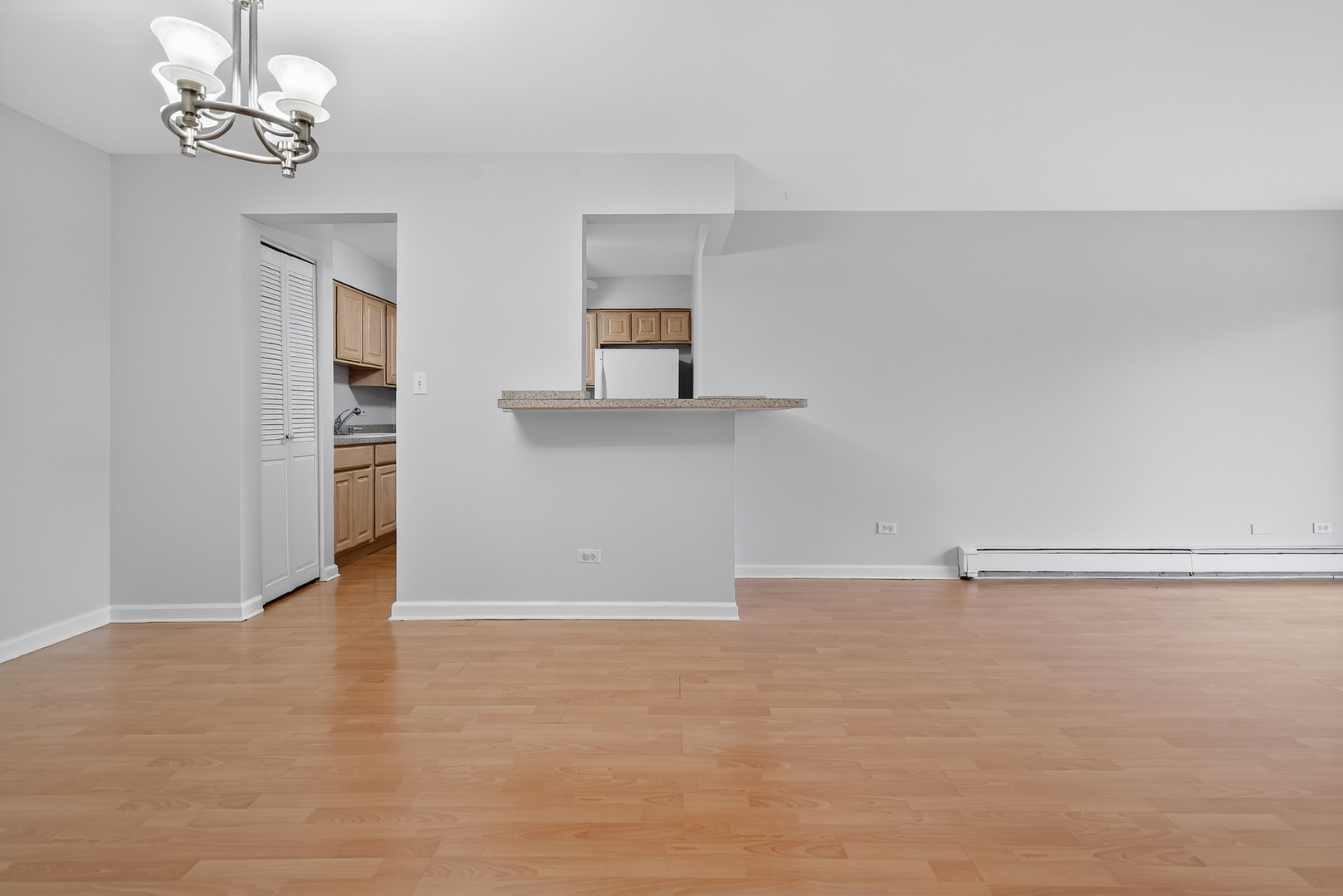 6670 S BRAINARD Avenue #209, Countryside, IL 60525