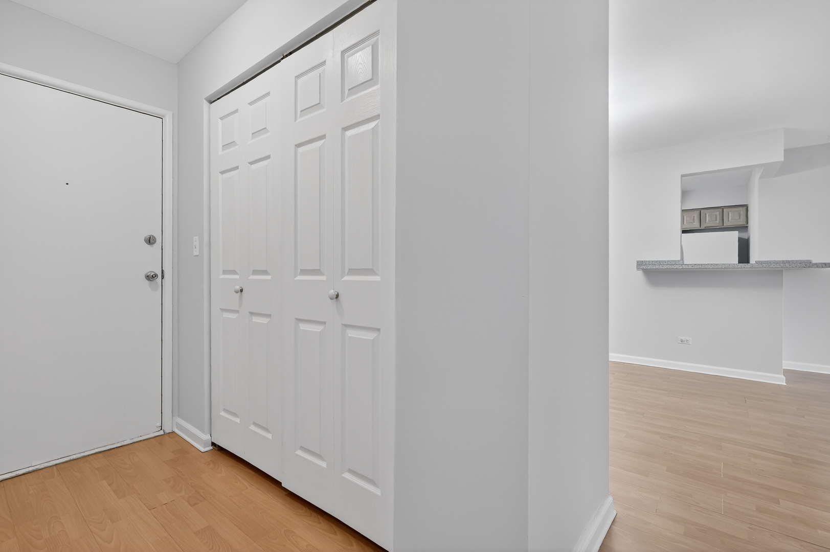 6670 S BRAINARD Avenue #209, Countryside, IL 60525