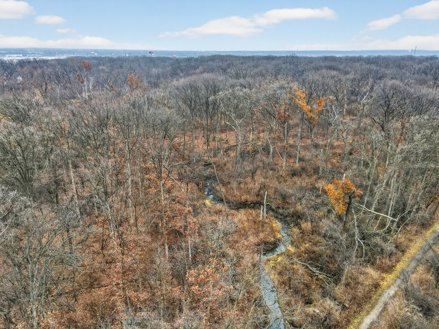 6670 S BRAINARD Avenue #209, Countryside, IL 60525