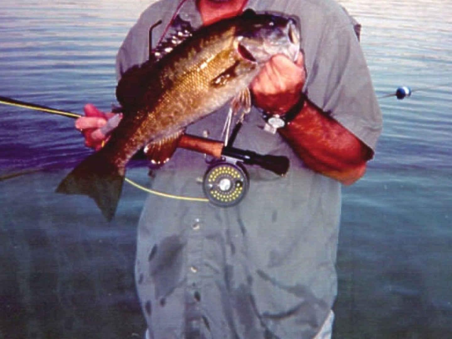 Lot 101 Breezy Point Court, Varna, IL 61375